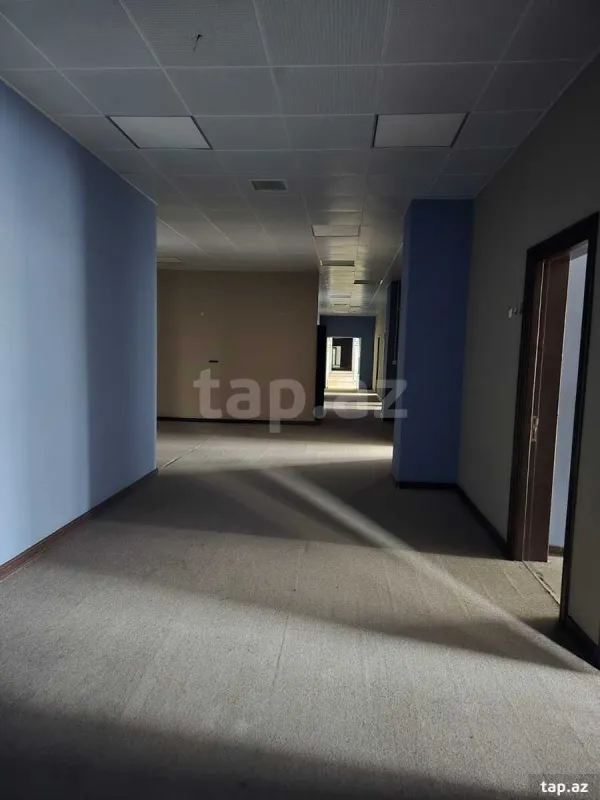 Kirayə verilir ofis