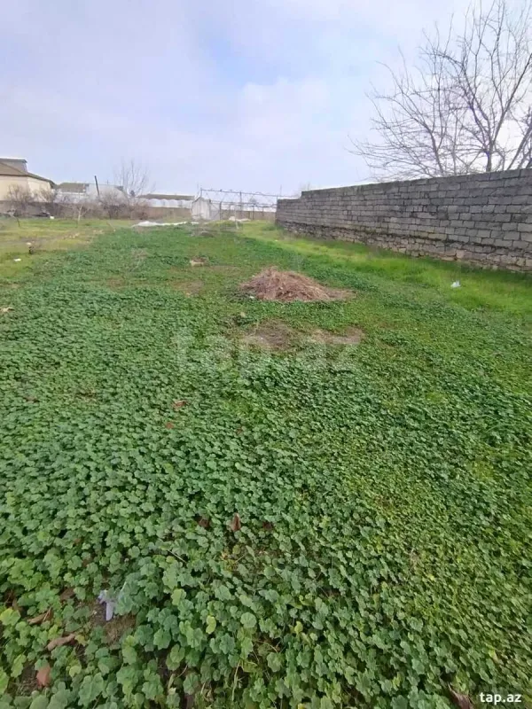 Satılır torpaq sahəsi