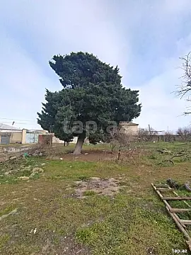 Satılır torpaq sahəsi — Bakı, Nardaran