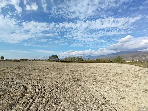 Satılır torpaq sahəsi — Şəki