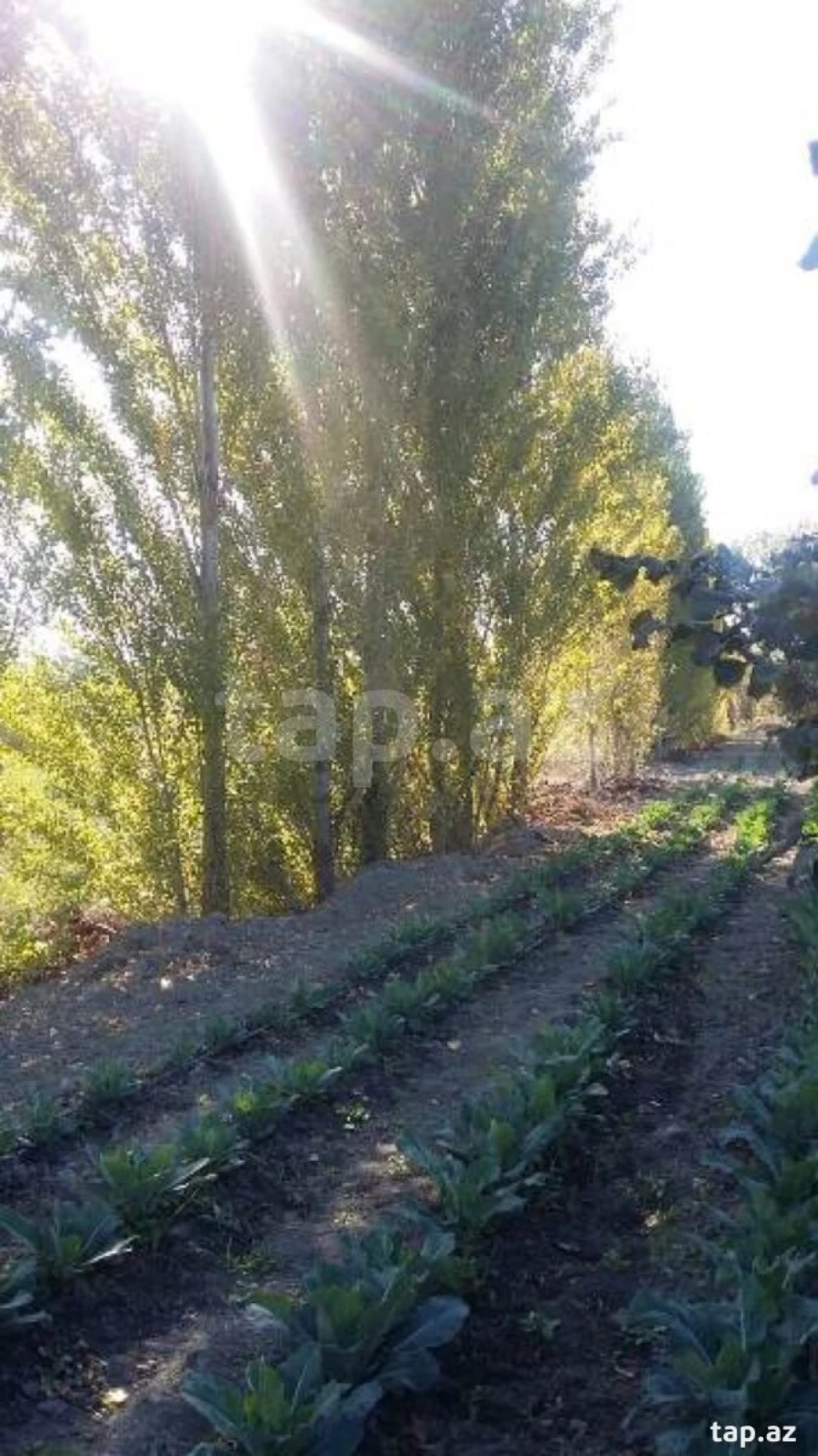 Satılır torpaq sahəsi