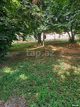 Satılır torpaq sahəsi — Qəbələ