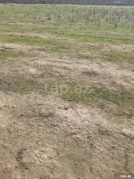 Satılır torpaq sahəsi — Bakı, Abşeron
