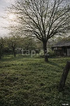 Satılır torpaq sahəsi — Zaqatala