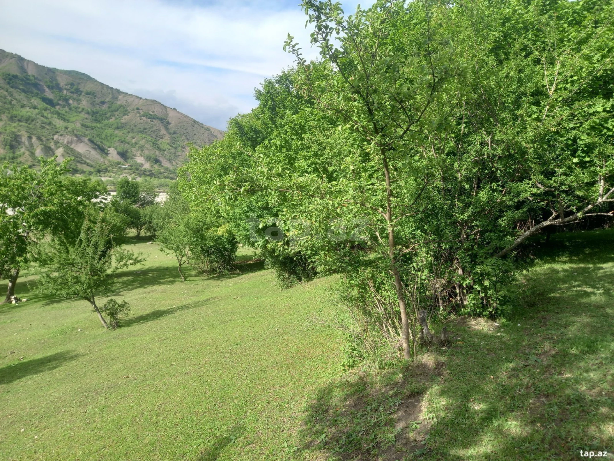 Satılır torpaq sahəsi