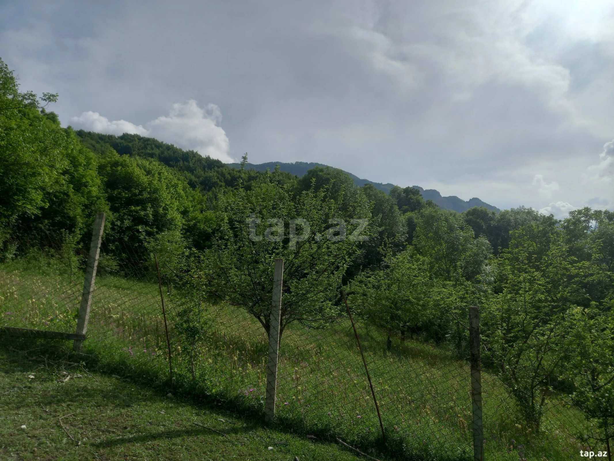 Satılır torpaq sahəsi