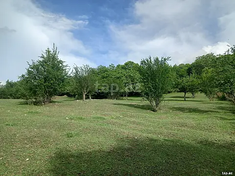 Satılır torpaq sahəsi — İsmayıllı