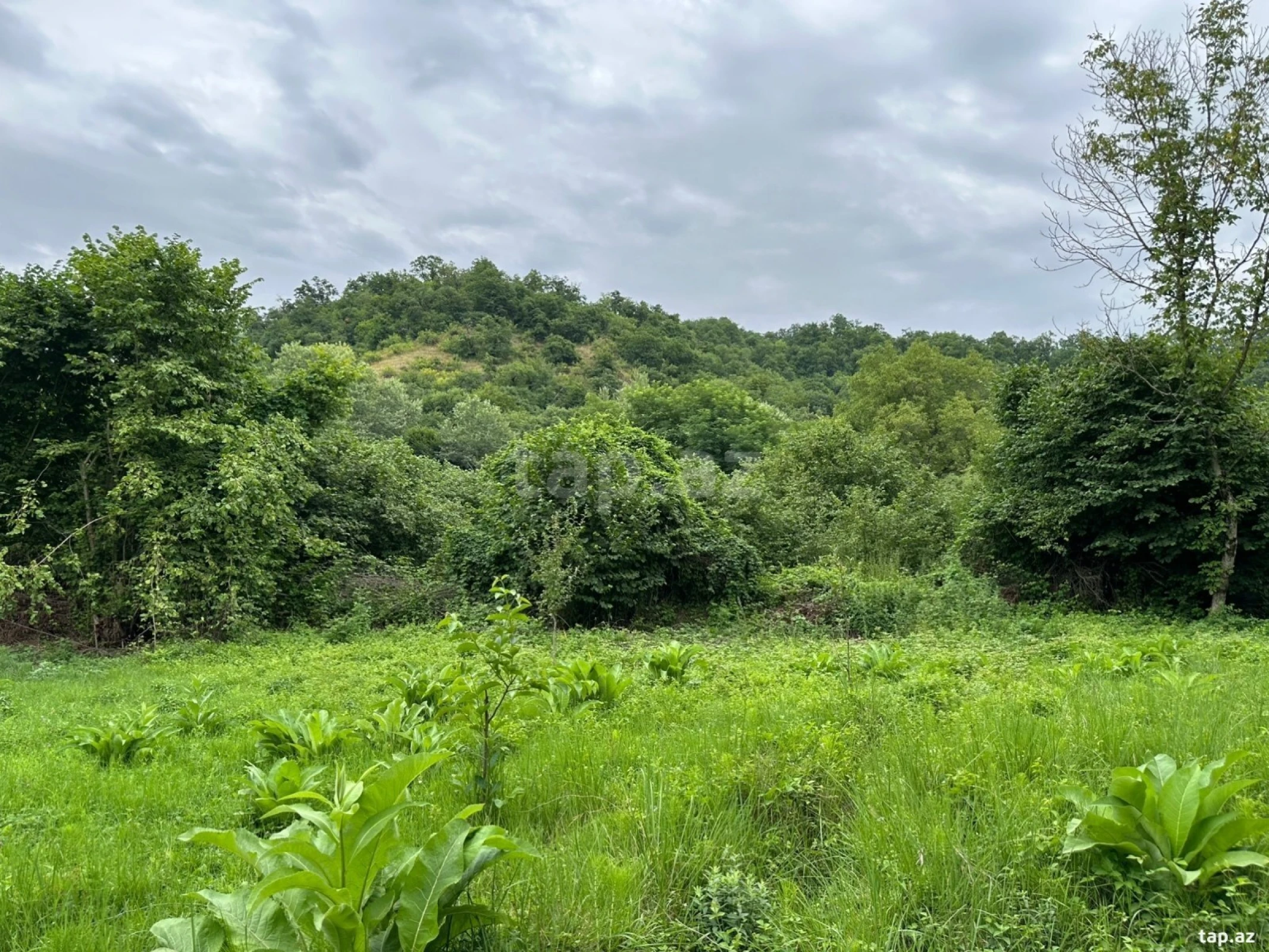 Satılır torpaq sahəsi