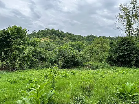 Satılır torpaq sahəsi — Qəbələ