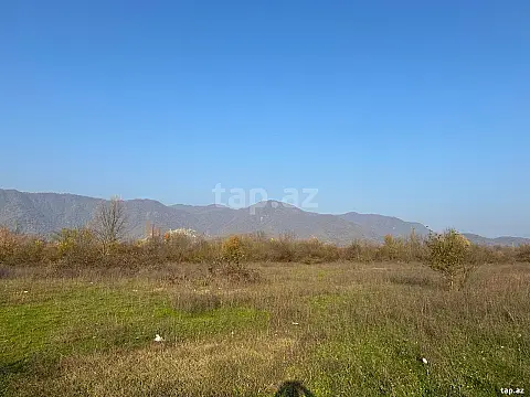 Satılır torpaq sahəsi — Qəbələ