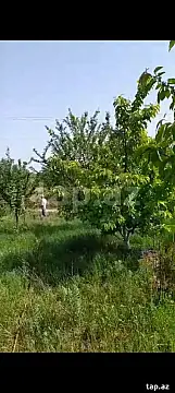 Satılır torpaq sahəsi — Qusar