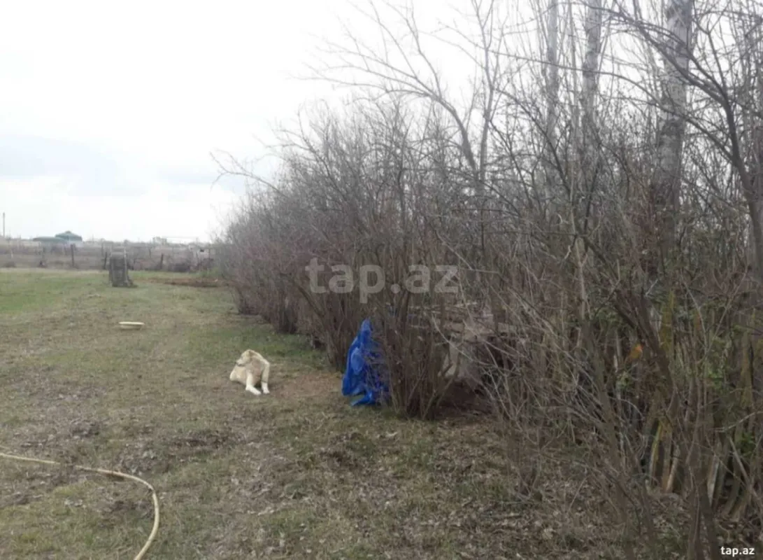 Kirayə verilir 4 otaqlı həyət evi