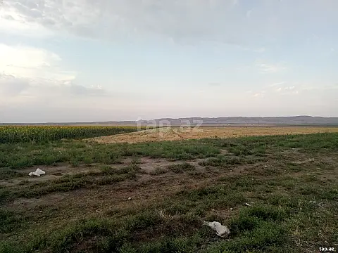 Satılır torpaq sahəsi — Göygöl