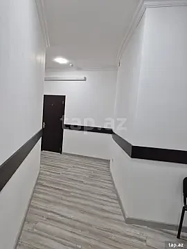 Kirayə verilir ofis — Bakı