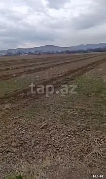 Satılır torpaq sahəsi — Tovuz
