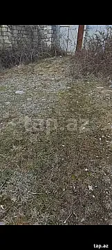 Satılır torpaq sahəsi — Şəki