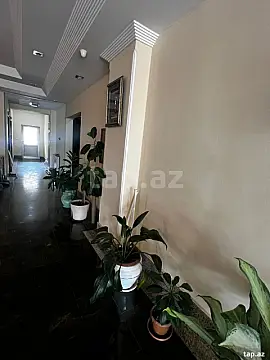 Kirayə verilir ofis