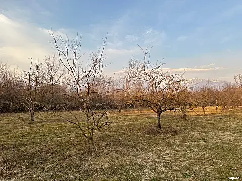Satılır torpaq sahəsi — Qəbələ