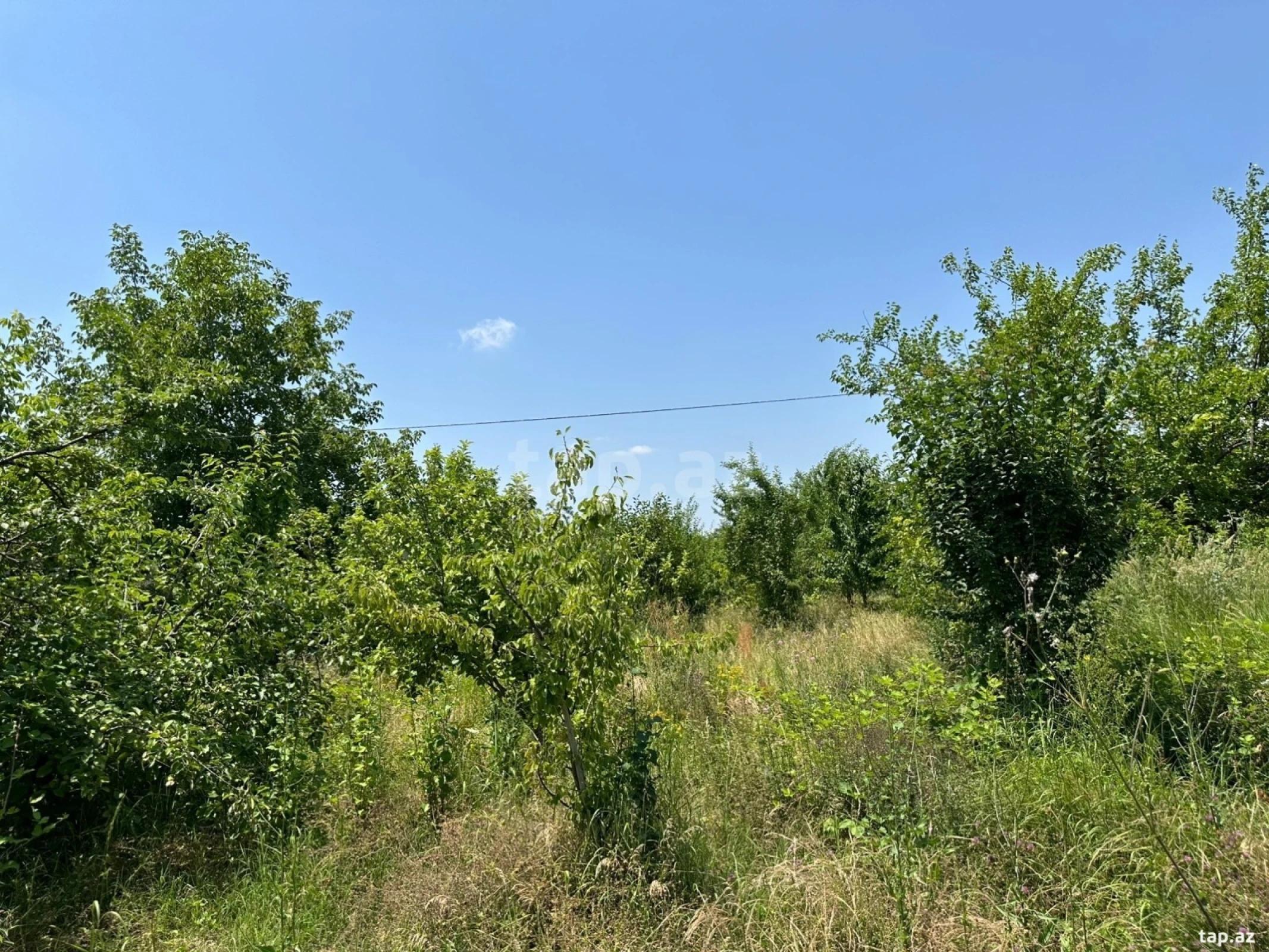 Satılır torpaq sahəsi