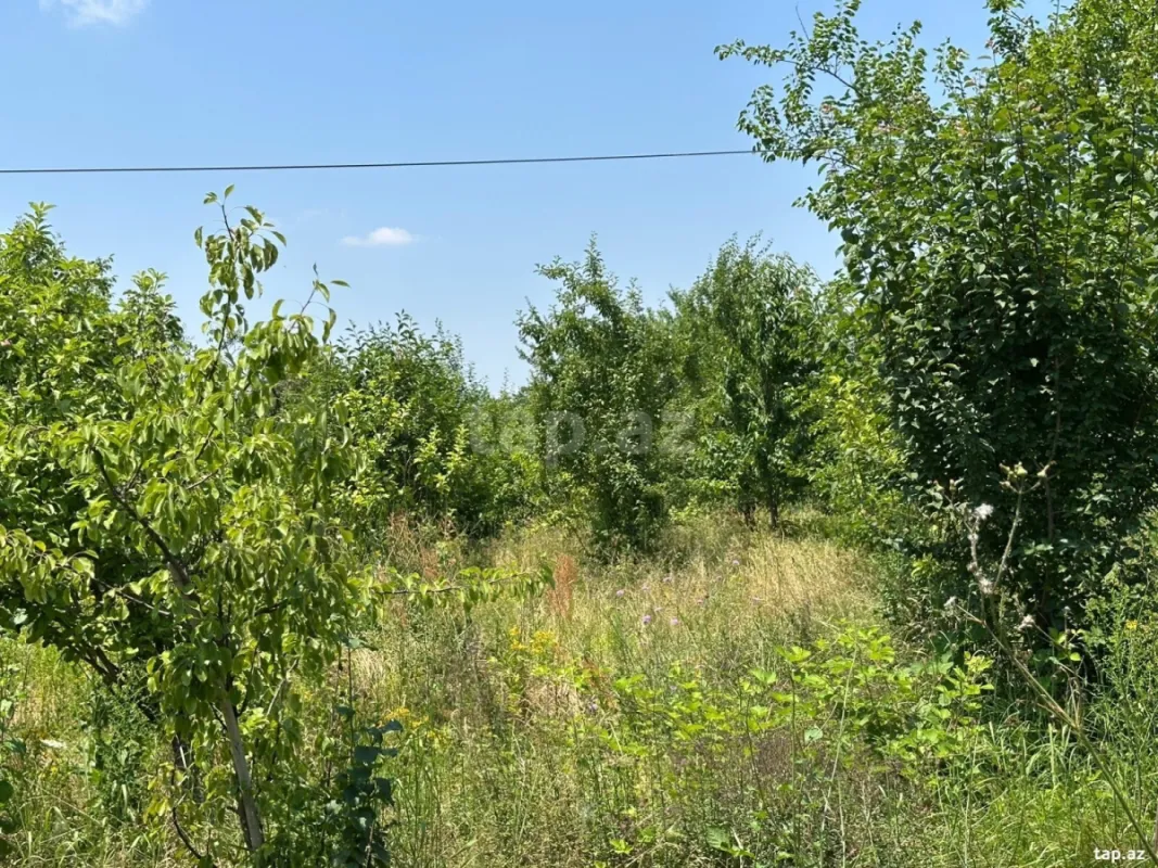 Satılır torpaq sahəsi