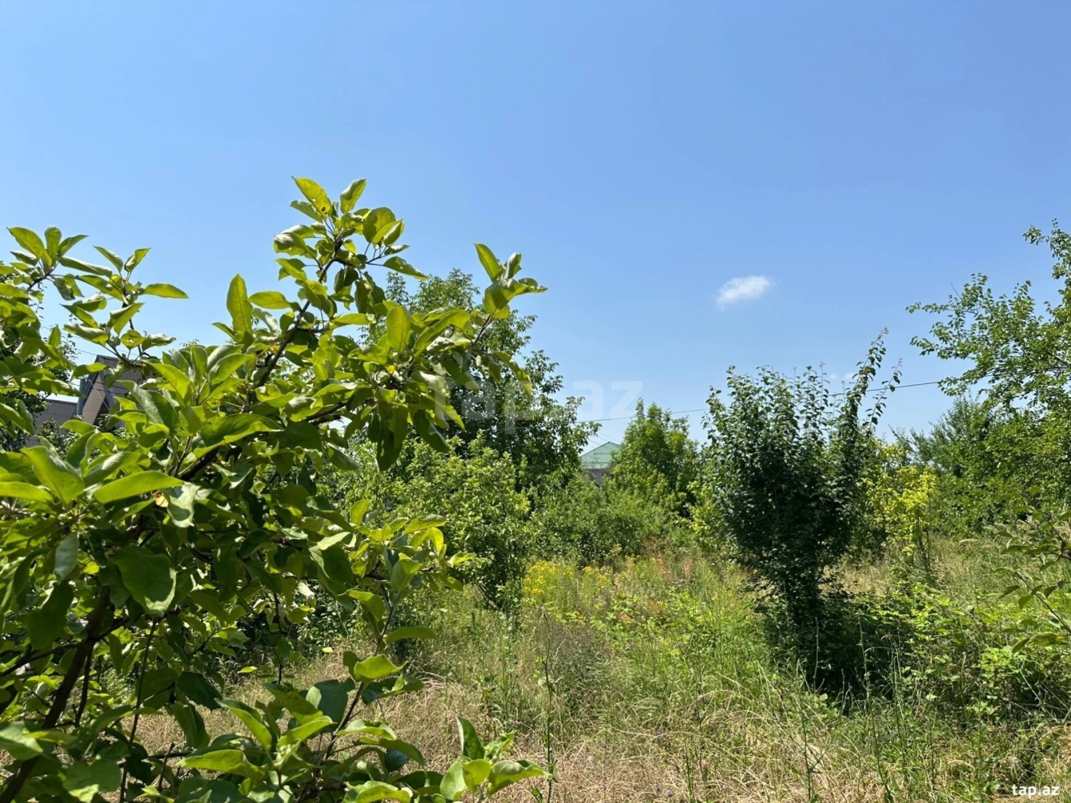 Satılır torpaq sahəsi