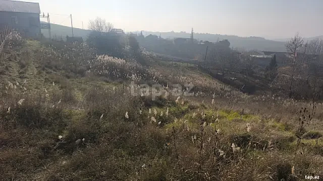 Satılır torpaq sahəsi — Şamaxı