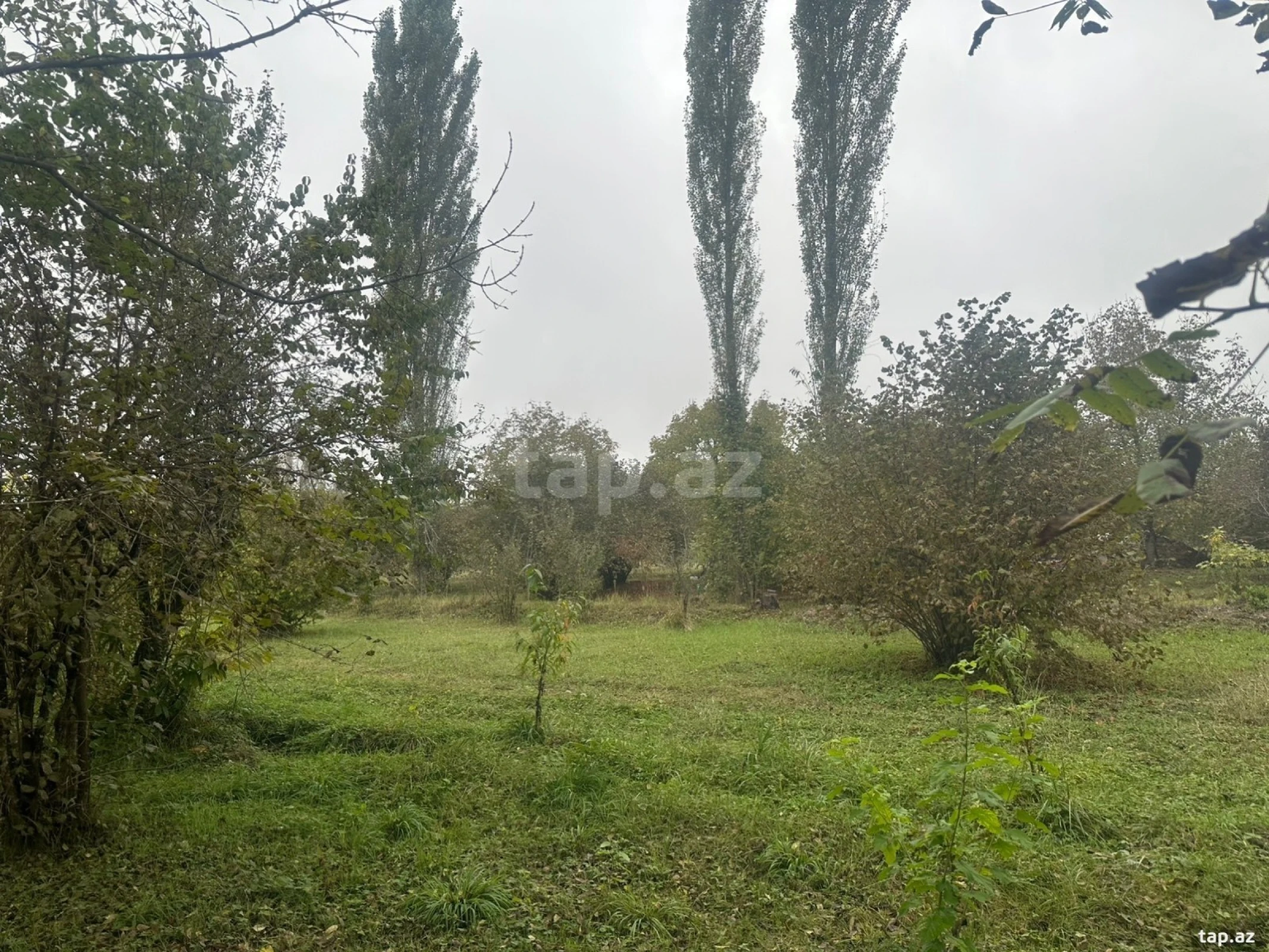 Satılır torpaq sahəsi