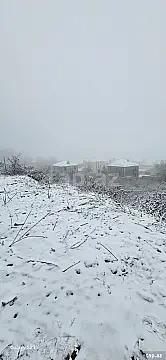Satılır torpaq sahəsi — Qusar