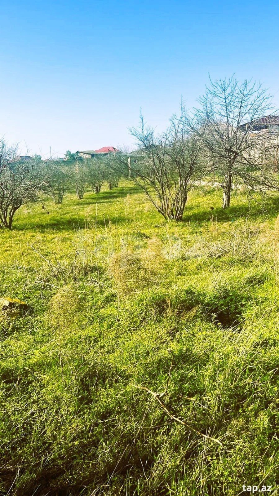 Satılır torpaq sahəsi