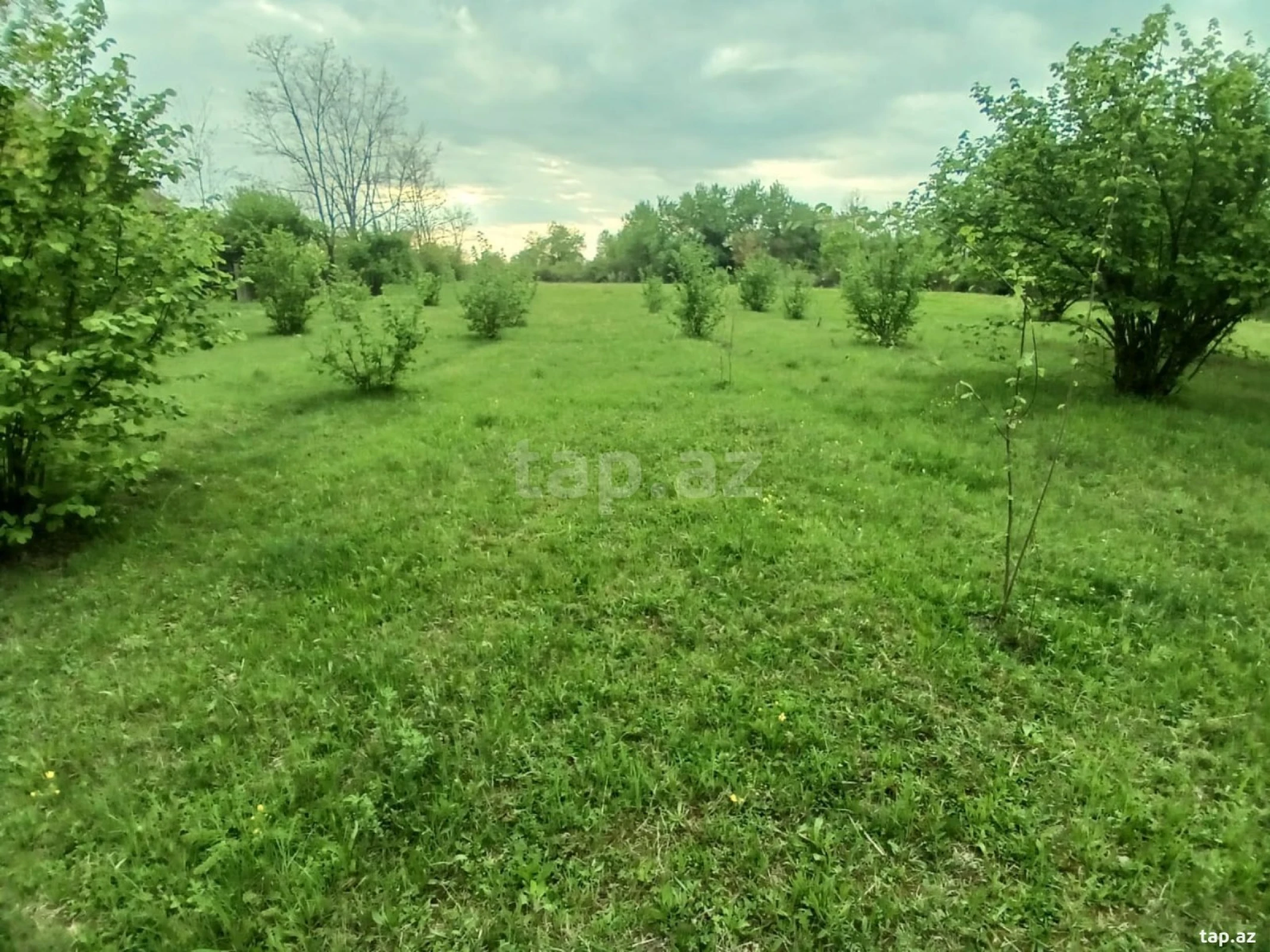 Satılır torpaq sahəsi