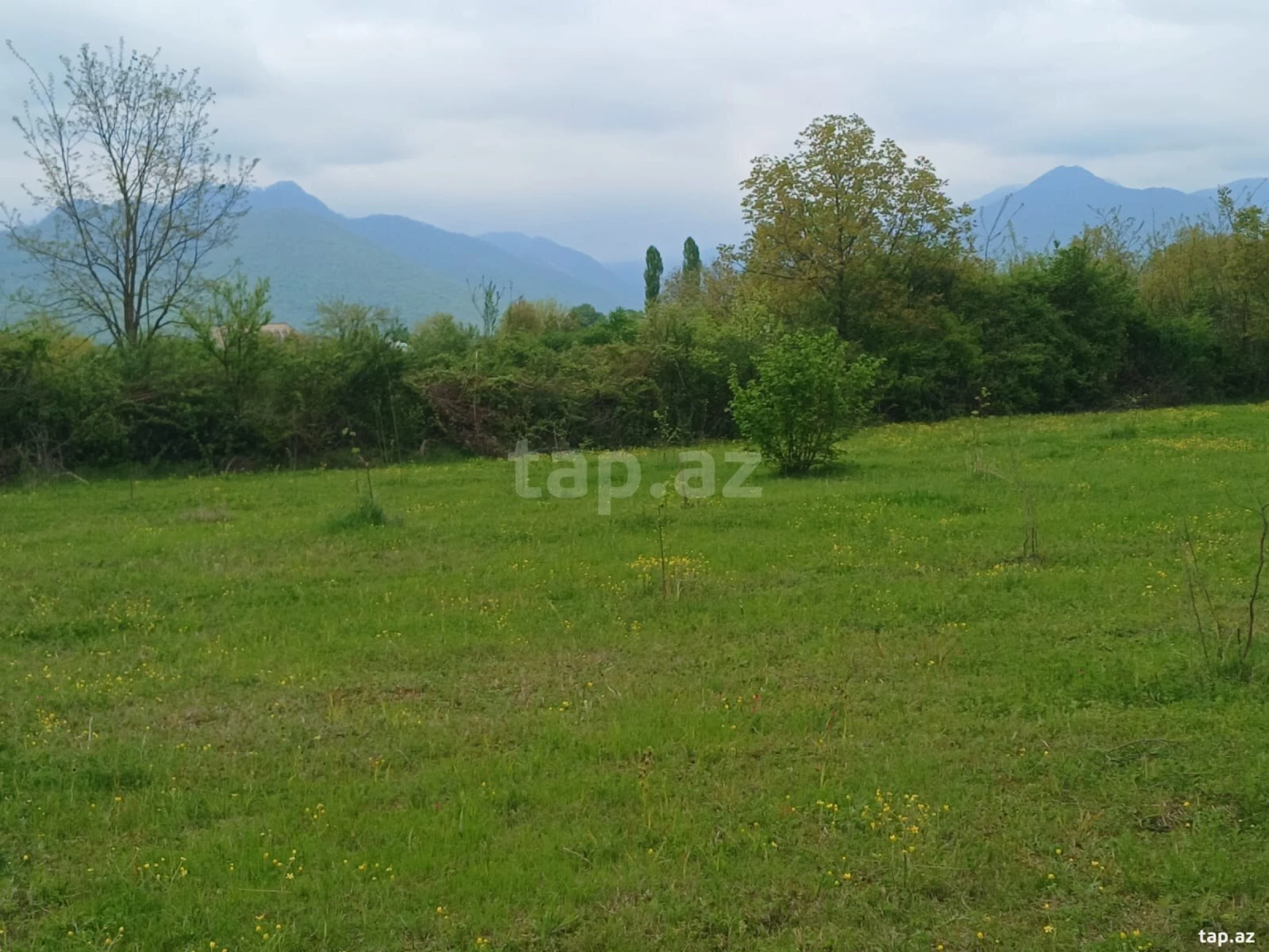 Satılır torpaq sahəsi