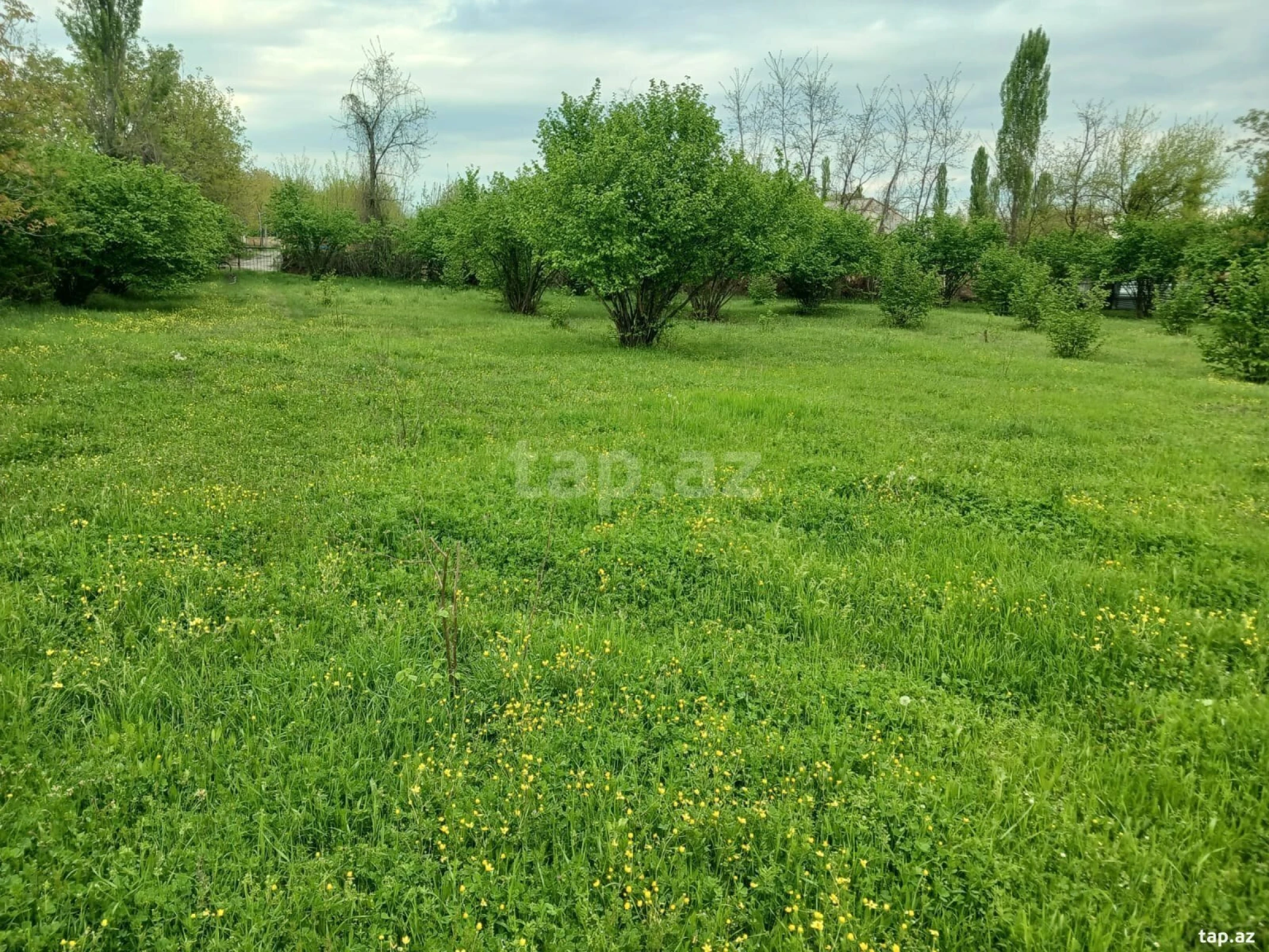 Satılır torpaq sahəsi