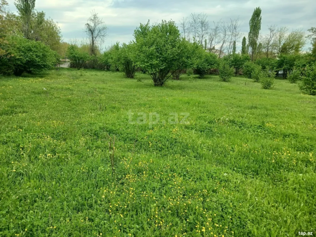 Satılır torpaq sahəsi