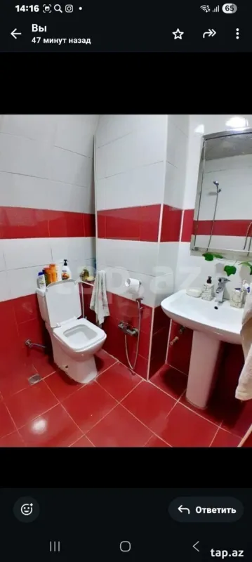 Kirayə verilir 3 otaqlı yeni tikili 75 m²