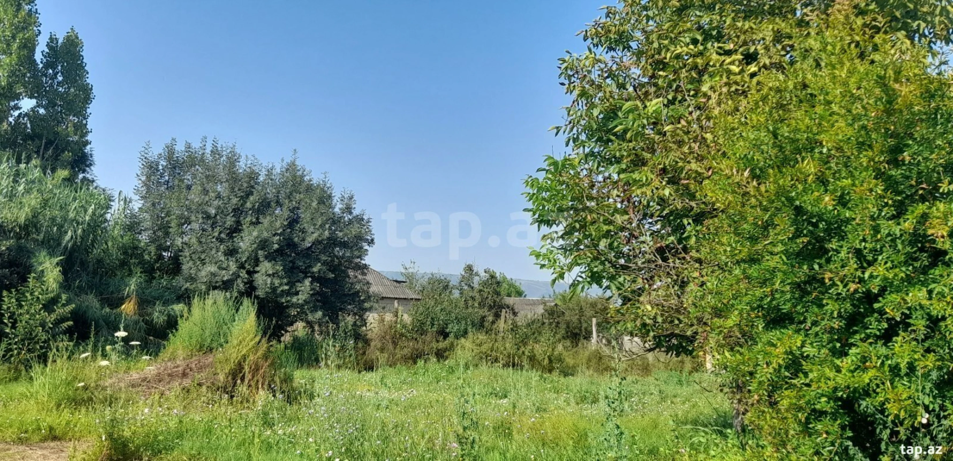 Satılır 4 otaqlı həyət evi