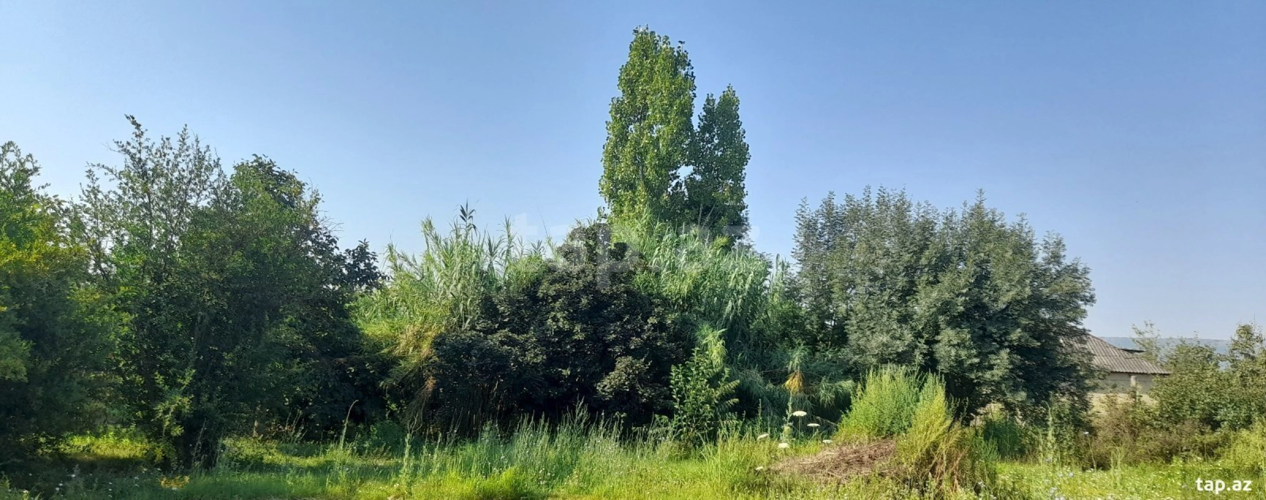 Satılır 4 otaqlı həyət evi