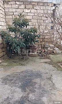 Satılır torpaq sahəsi — Bakı, Badamdar