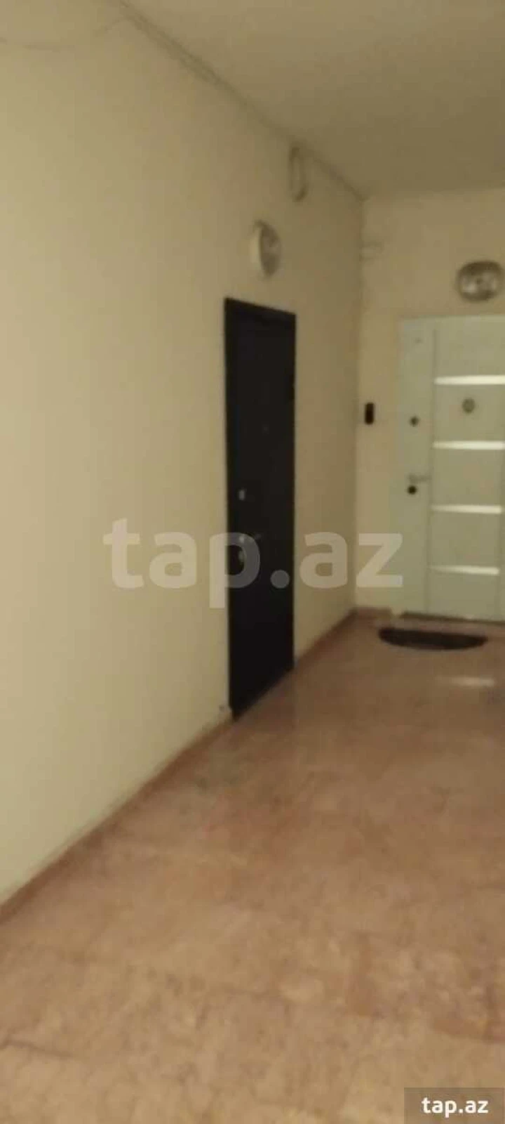 Kirayə verilir 3 otaqlı yeni tikili 100 m²