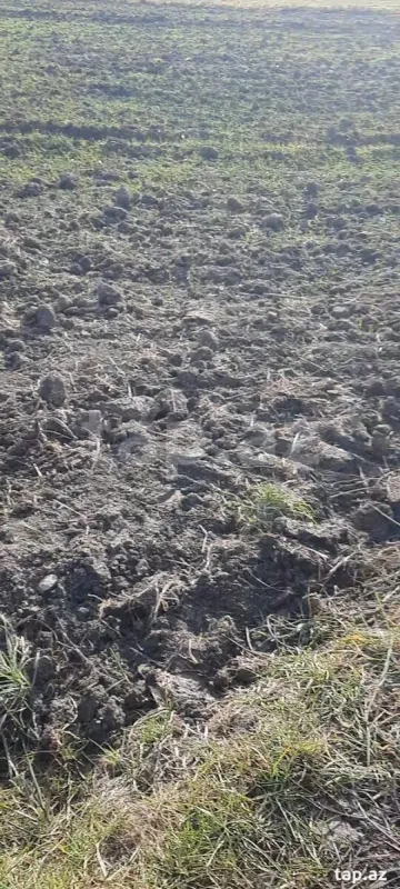 Satılır torpaq sahəsi