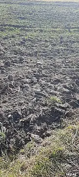 Satılır torpaq sahəsi — Xaçmaz