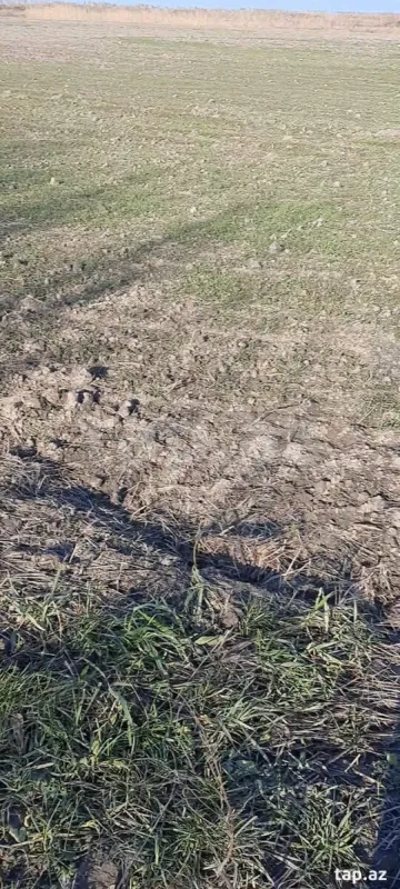 Satılır torpaq sahəsi