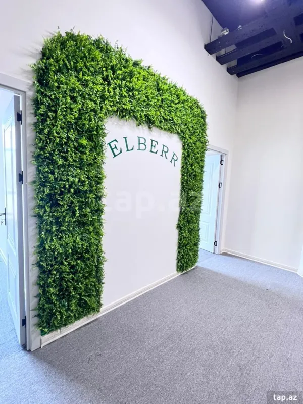 Kirayə verilir ofis