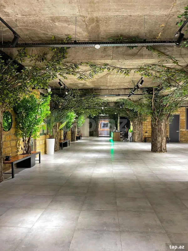 Kirayə verilir ofis