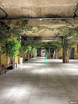 Kirayə verilir ofis