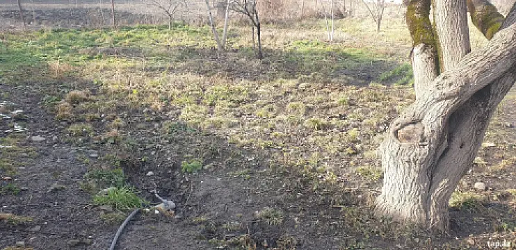 Satılır torpaq sahəsi — Quba