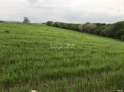 Satılır torpaq sahəsi — Quba