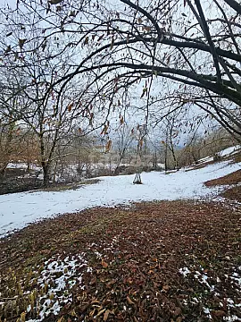 Satılır torpaq sahəsi — İsmayıllı