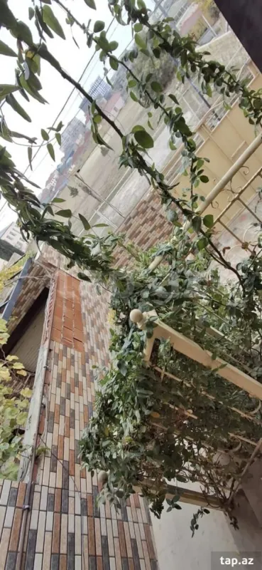 Satılır 8 otaqlı həyət evi