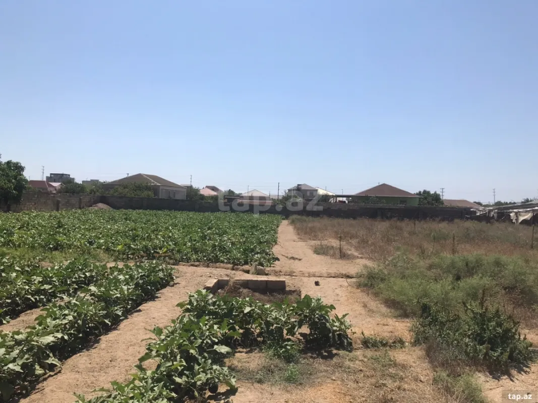 Satılır torpaq sahəsi