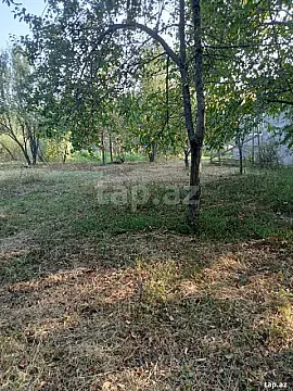 Satılır torpaq sahəsi — Qəbələ